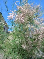 20260605_122659.jpg