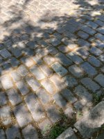 20260606_120607.jpg