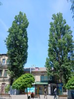 20260606_120705.jpg
