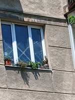 20260606_133417.jpg