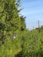 IMG_9326.jpeg