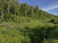 IMG_9325.jpeg