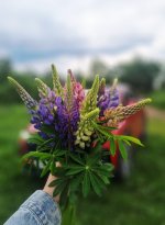 20260606_204137.jpg
