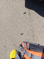 IMG_20260607_131652.jpg