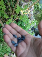 IMG_20260607_191124.jpg