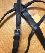 IMG_8916.jpeg