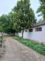 20260607_160003.jpg