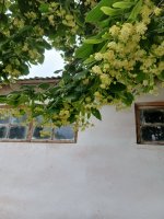 20260607_160029.jpg