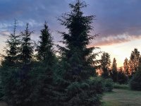 IMG_20260608_213756.jpg