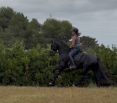 IMG_3304.jpeg