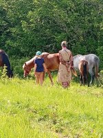 IMG_20260517_164518.jpg