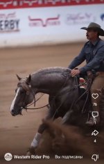 IMG_20260611_145218.jpg
