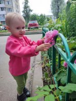 IMG_20260610_172726.jpg