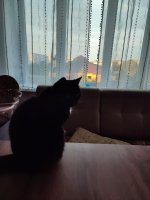 IMG_20260612_205555.jpg