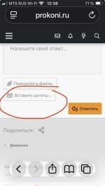 IMG_2334.jpeg