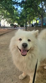 IMG_3431.jpeg
