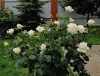 Линкольн01.jpg