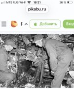 IMG_2339.jpeg
