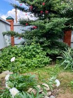 IMG_0689.jpeg