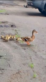 IMG_0703.jpeg
