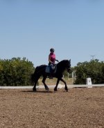 IMG_3465.jpeg