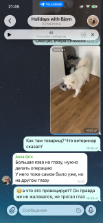 IMG_3478.png