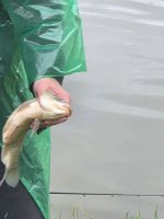 IMG_20260617_113900_860.jpg