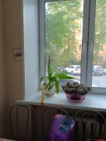 IMG_20260617_195614.jpg