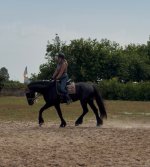 IMG_3534.jpeg