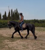 IMG_3537.jpeg