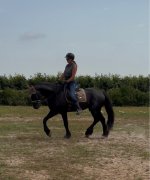 IMG_3536.jpeg