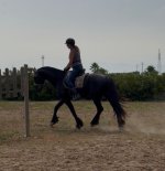 IMG_3535.jpeg