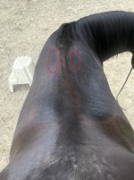 how-do-these-sweat-marks-look-read-description-v0-vfrj106la1kf1.jpg