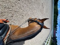 IMG_6059.jpeg