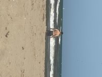 IMG_3571.jpeg