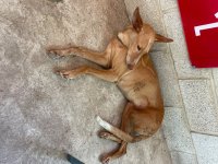 IMG_3564.jpeg