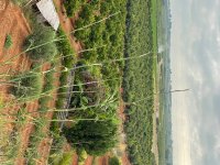 IMG_3552.jpeg