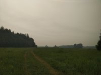 IMG_20260618_092526.jpg