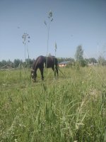 IMG_20260620_103531.jpg
