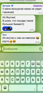 IMG_0729.jpeg
