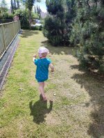 IMG_20260620_135010.jpg