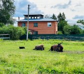 IMG_9077.jpeg