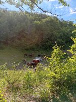 IMG_20260620_170450.jpg