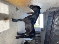 IMG_3639.jpeg