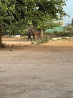 camphoto_1817792895.jpeg
