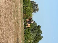 IMG_3638.jpeg