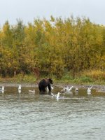 IMG_0092.JPG