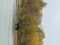 IMG_9967.JPG