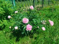 IMG20260622122434.jpg