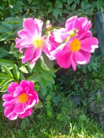 IMG20260622133144.jpg